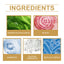 Moonspry Plant Root Powder, Garden Flower Plant Root Supplement Nutrition To Improve Soil Plant Nutrition Powder - Korvel