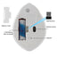 CHUYI 2.4G Wireless Optical Mouse - Cute Hamster Design