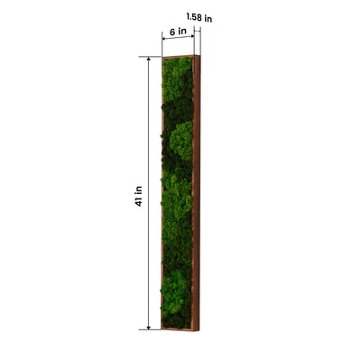 Medium Rectangular Mixed Moss Wall Art