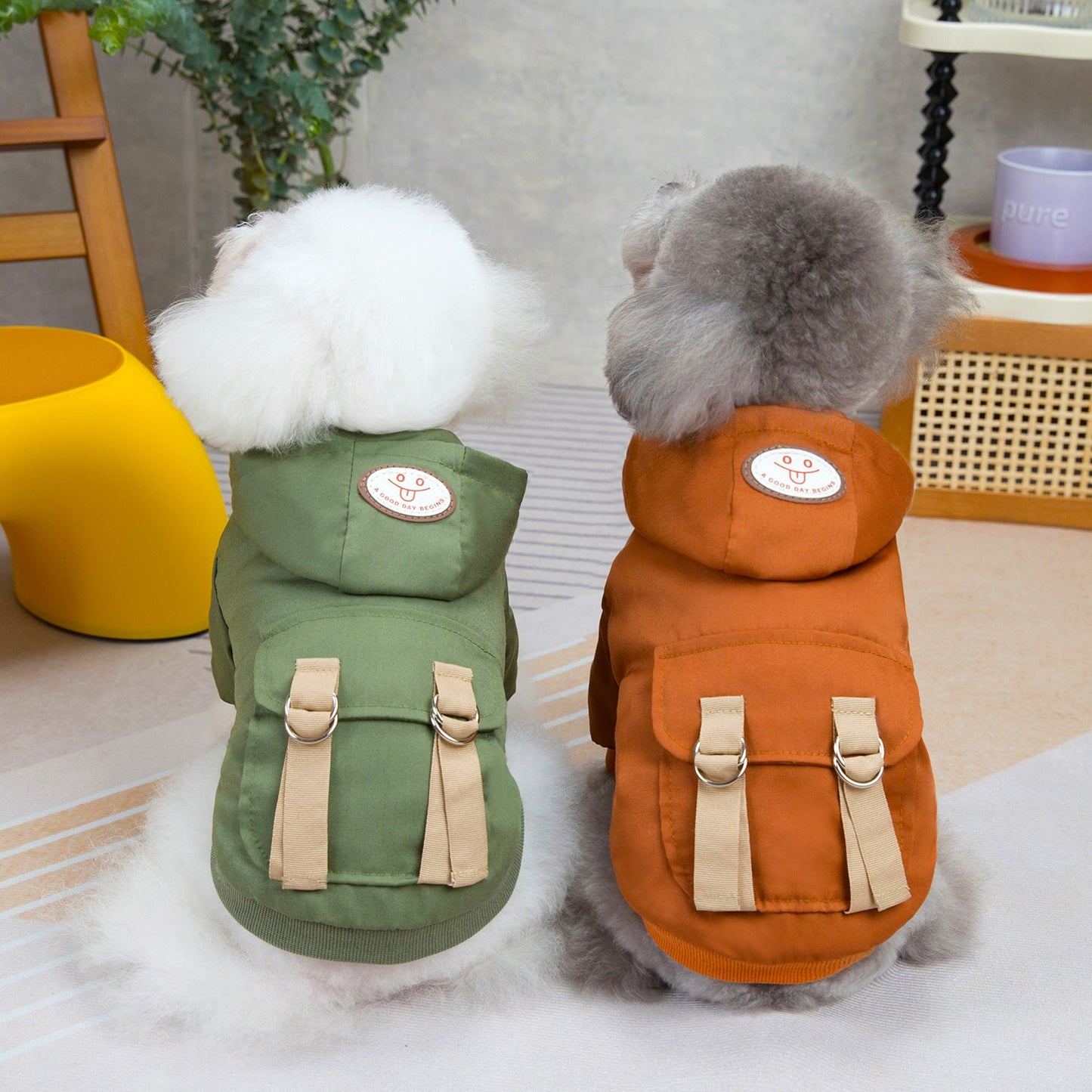 Pet clothes sweaters clothing for dogs teddy cats cool style two legged cotton clothes - Korvel
