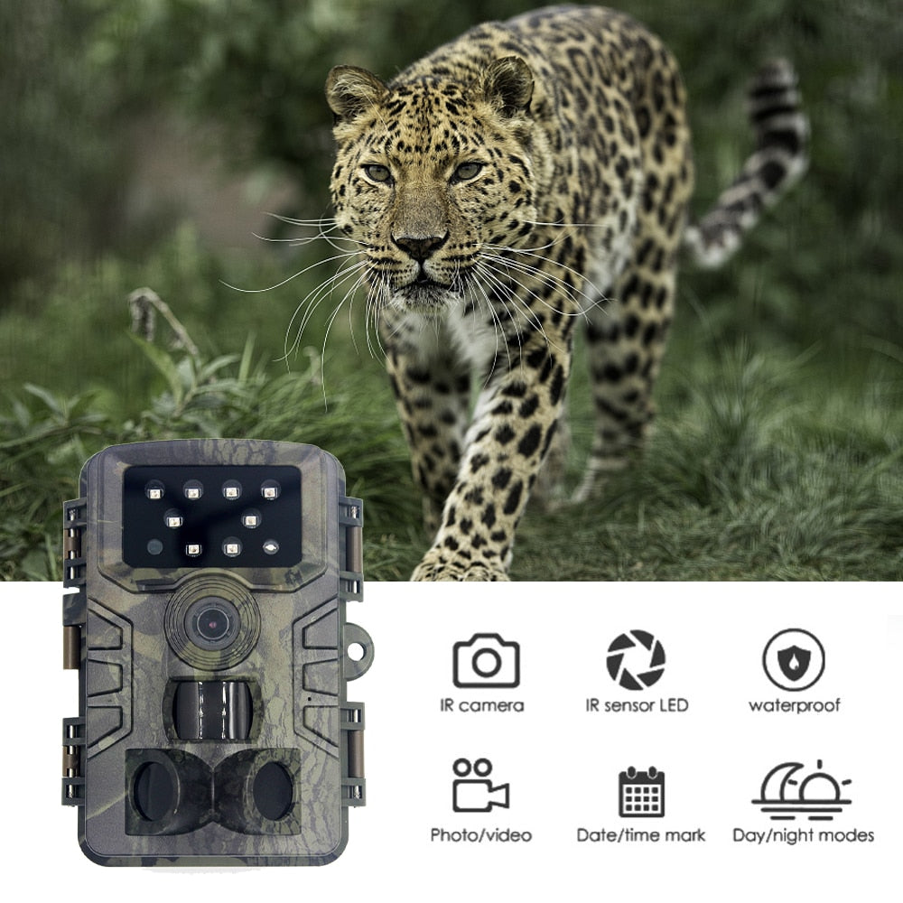 20MP Waterproof Trail Camera with Night Vision