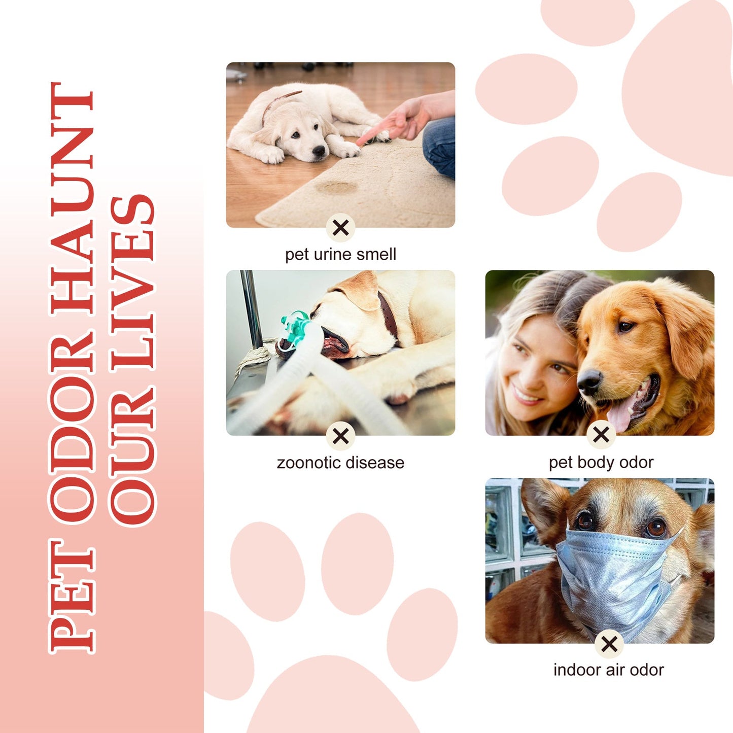 Pet Deodorant Spray, Indoor Cat And Dog Deodorizer Stay Fragrance Refreshing Spray - Korvel