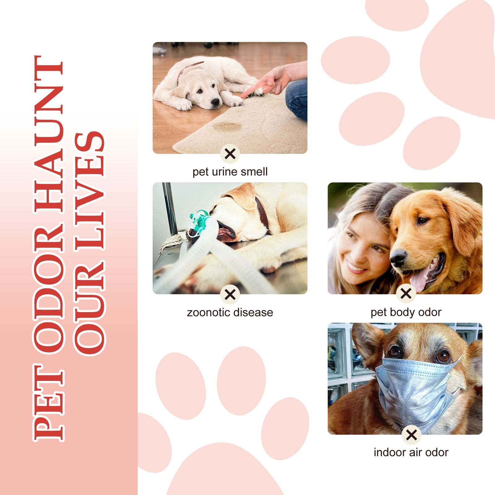 Pet Deodorant Spray, Indoor Cat And Dog Deodorizer Stay Fragrance Refreshing Spray - Korvel