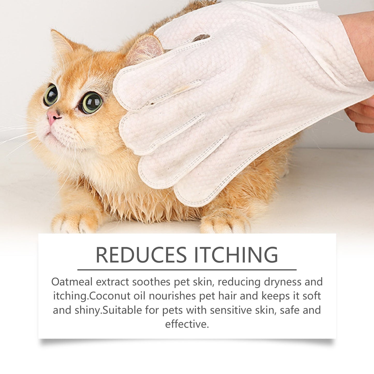 Gants de nettoyage doux pour animaux de compagnie pour chiens et chats