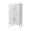 Elegante gabinete de almacenamiento de metal blanco para cocina