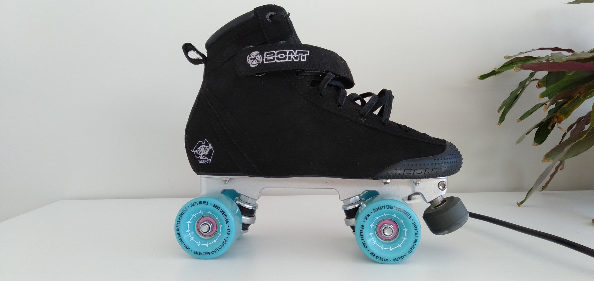 Better Bearings - Lickety Splits - Korvel