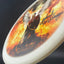 Gold Fuse Signed - DyeMax - Limited Edition Disc Golf Disc