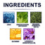 Plant Drops, Repair Extremities Soft Thickening Light Armour Moist Clean Fingernails Detailer - Korvel