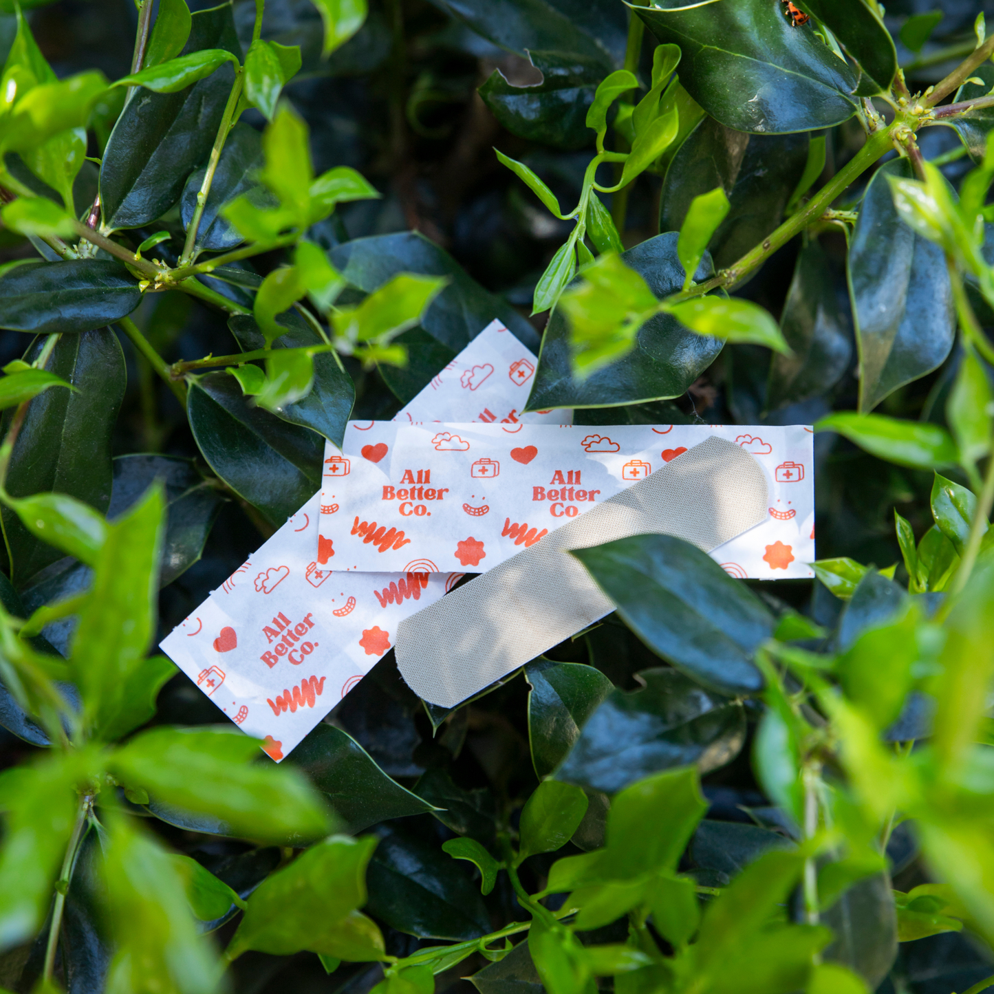 Better Bandage – Plant-Based Bamboo Bandages - Korvel