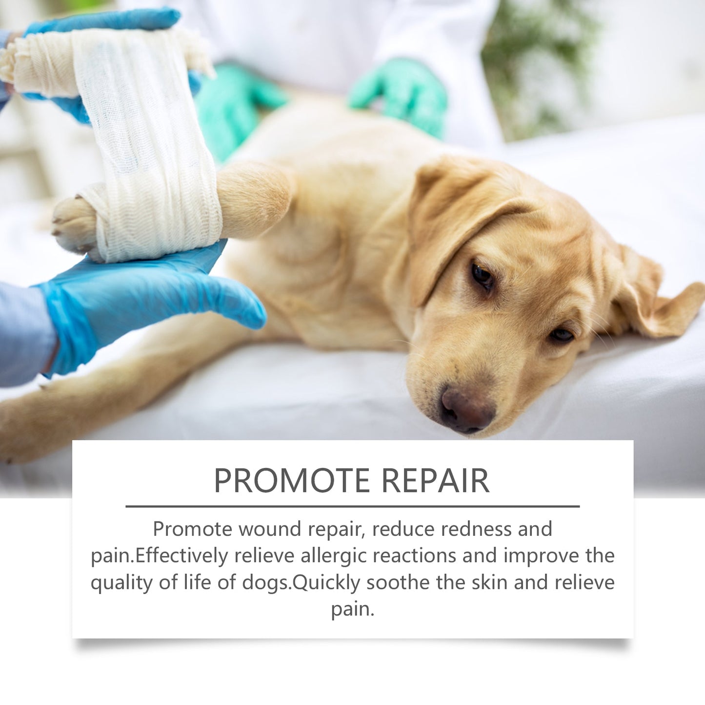 Dog Care Spray, Clean Dog Care Pet Plant Essence Skin Care Spray - Korvel