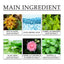 Green Tea Moisturizing Toner, Skin Tender Shine Clean Blain Mark Clear Water Not Greasy Toner - Korvel
