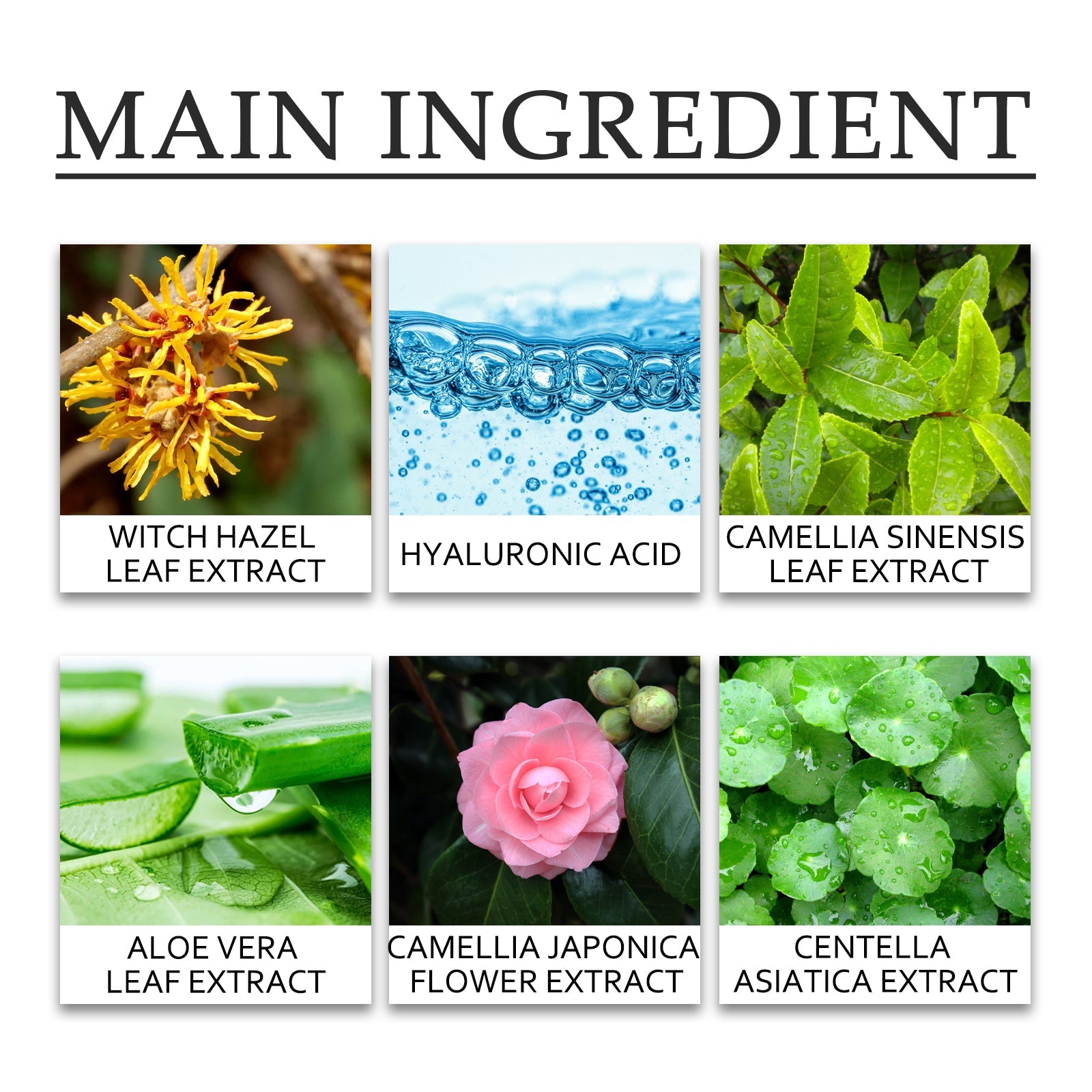 Green Tea Moisturizing Toner, Skin Tender Shine Clean Blain Mark Clear Water Not Greasy Toner - Korvel