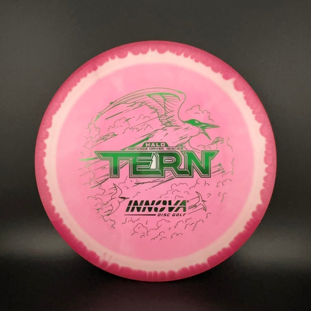 Innova Halo Star Tern Disc Golf Driver
