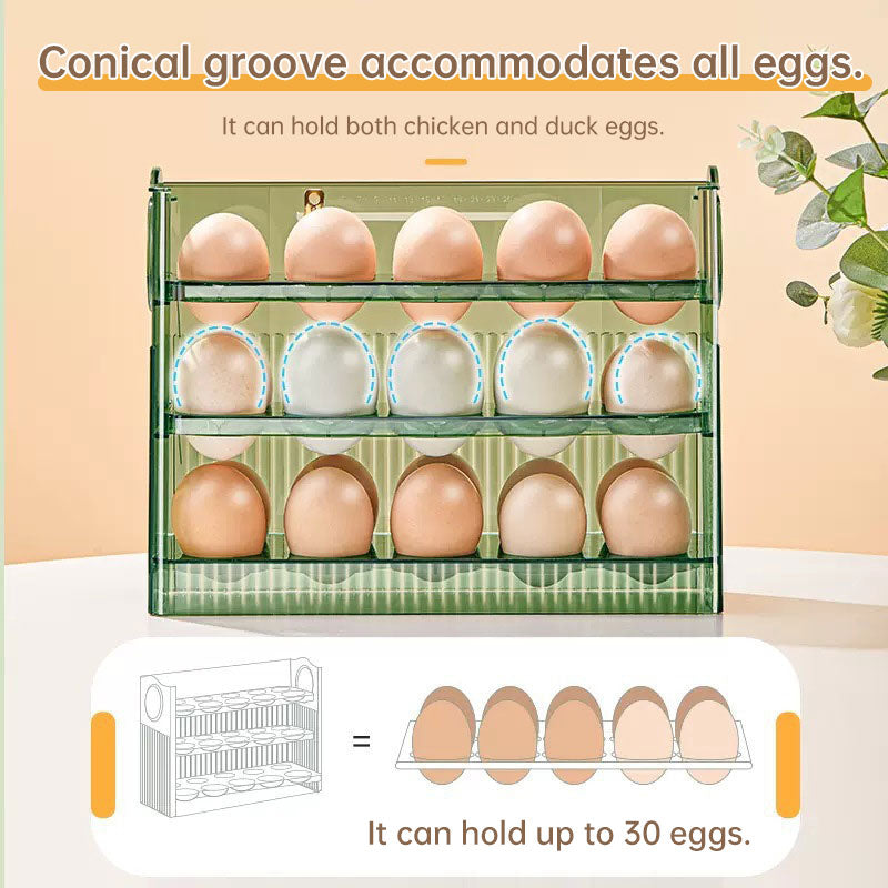 Premium Large-Capacity Egg Storage Container