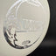 Z Glo Swarm Disc Golf Midrange - Seasonal Glo