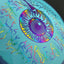 Halo Star Roadrunner - Eye-Fly RAD V2 by Ripper Studios