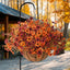EcoBloom Outdoor Flower Set - Korvel