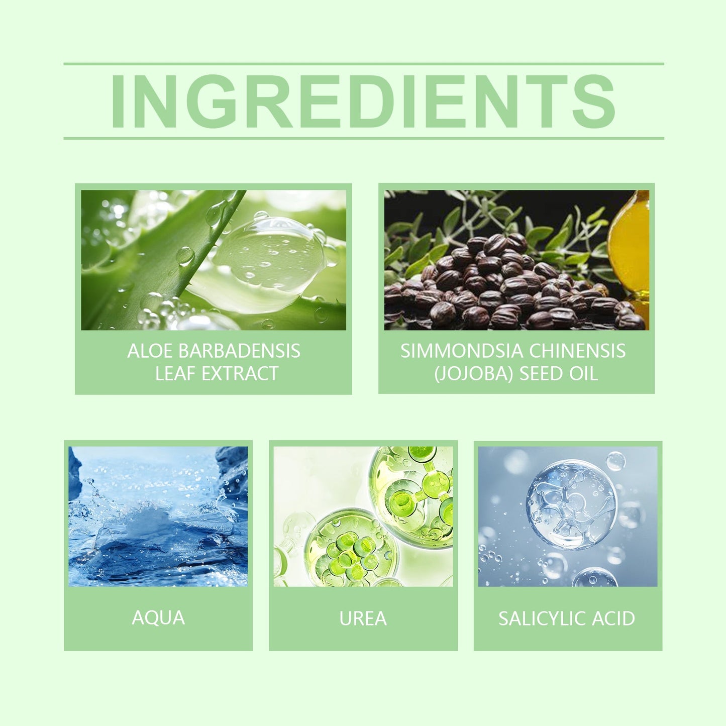 Crema para pies de urea premium para hidratación y confort