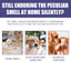 Pet Deodorant Spray for Cats and Dogs - Eliminates Odors, Urine Smell, Body Odor, and Feces Odor, Air Freshener Mist - Korvel
