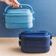 Japanese Portable Double Layer Bento Lunch Box with Cutlery