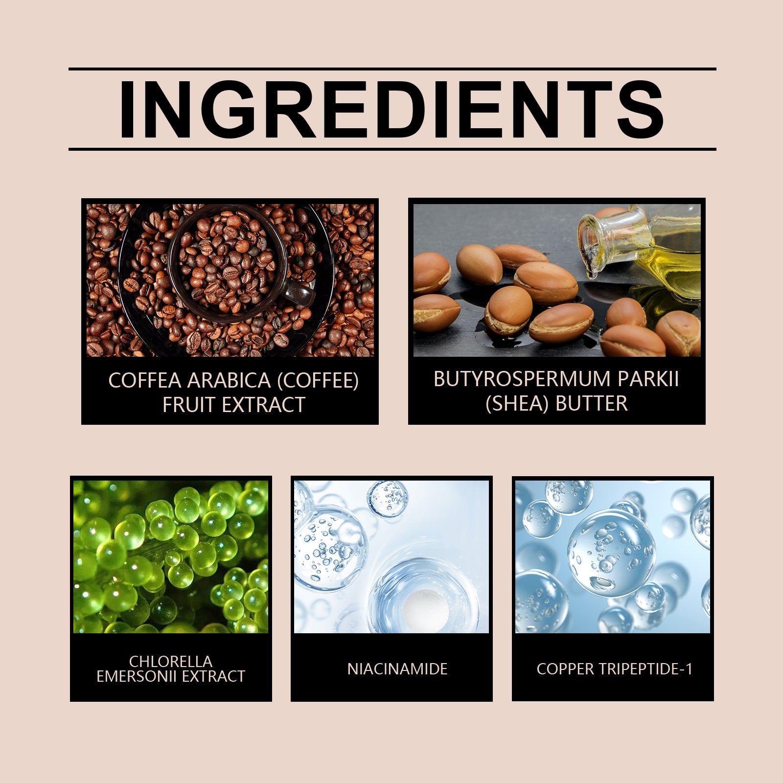 Firming Skin Essence, Brightening, Moisturizing And Smoothing Skin Line Firming Treatment Essence - Korvel