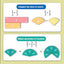 FractionMag Learning Set - Magnetic Math Manipulatives