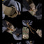 Multifunctional Camouflage Tactical Bag - Korvel