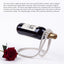 Pearl Necklace Stainless Steel Wine Rack Wine Pedestal Clamp Holder Suspension Champagne Whisky Small Ornaments - Korvel