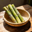 Graines de canne à sucre SweetHarvest pour le jardinage à domicile