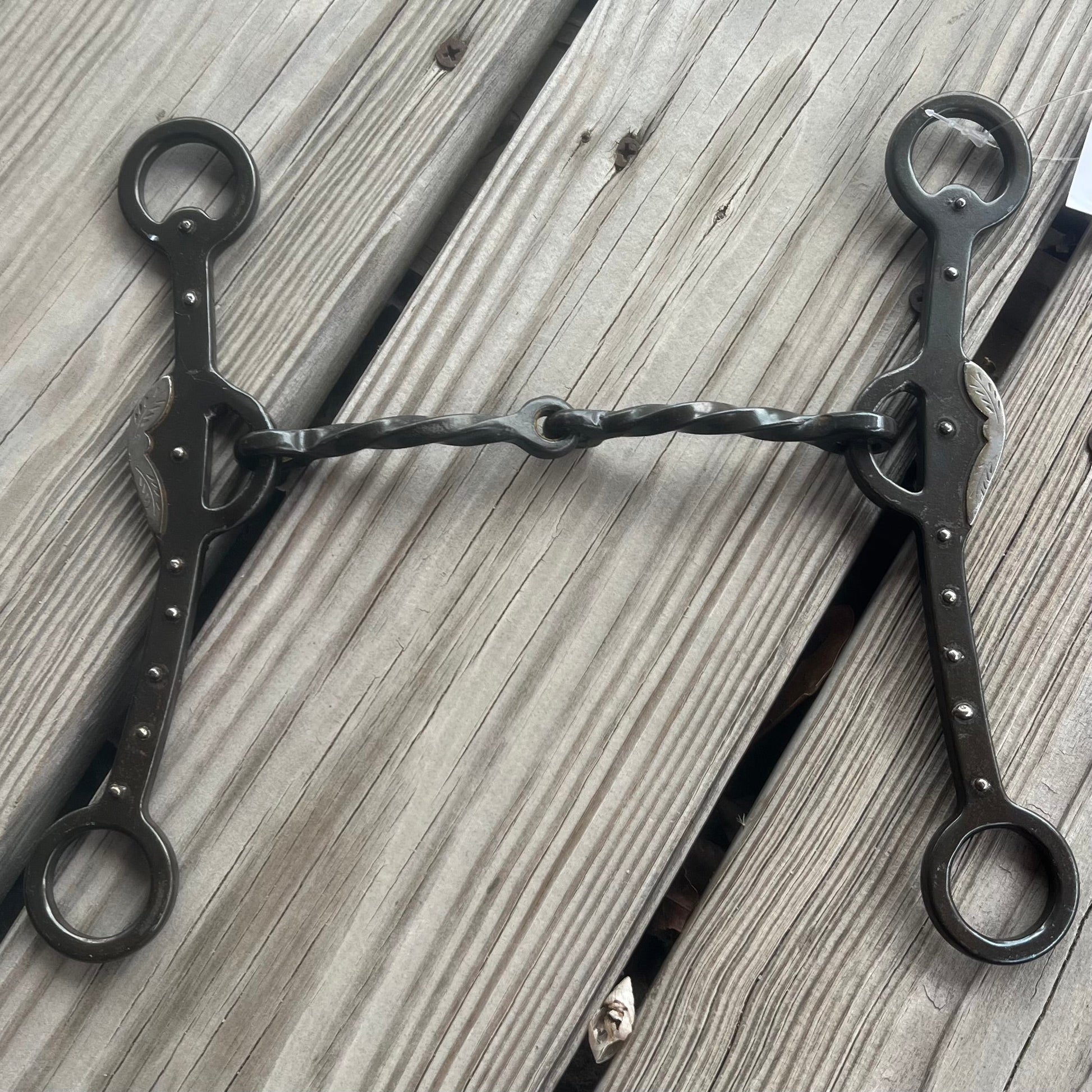 Elegant Slow Twist Bridle Bit with Silver Accents - Korvel