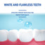 Probiotic Bright White Teeth Mousse, Deep Cleaning Stains And Tartar White Teeth Fresh Breath Gum Care - Korvel