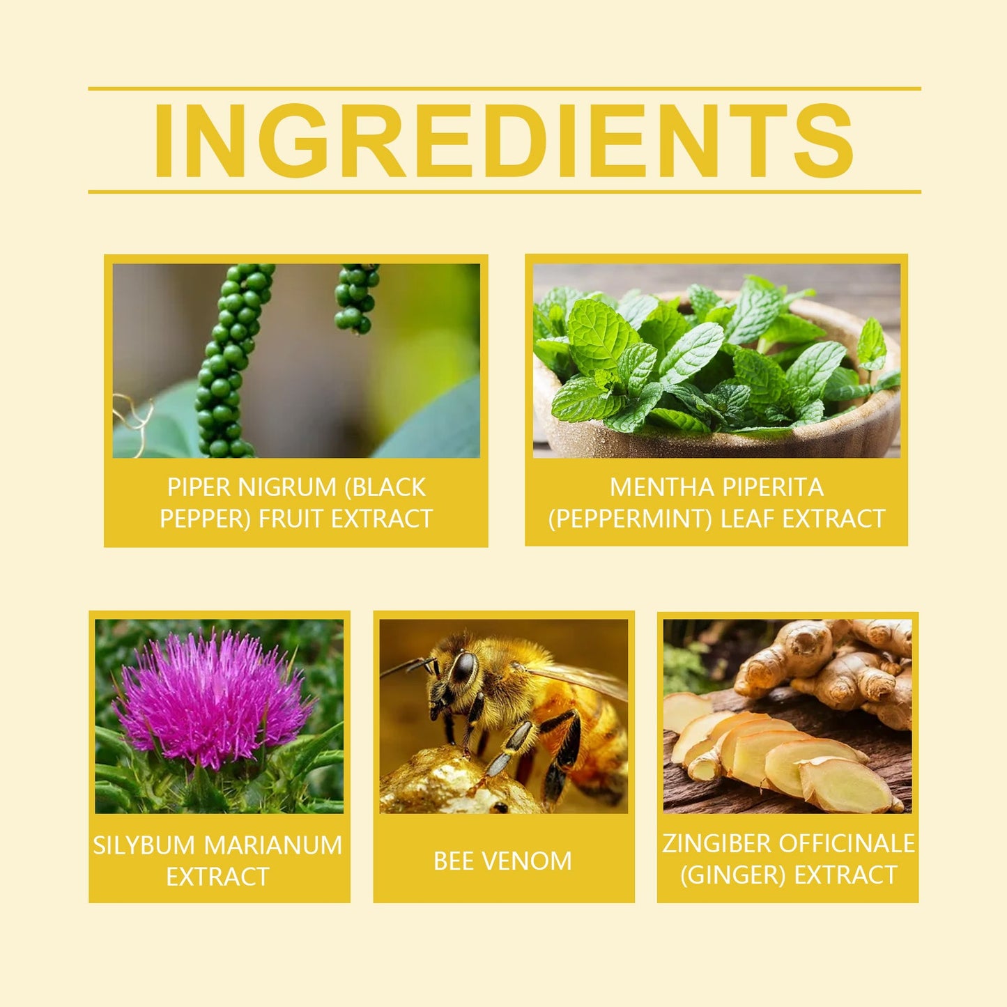 Patch de soin corporel infusé au venin d'abeille avec essence de gingembre