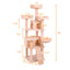 Cat Climbing Frame3 - Korvel
