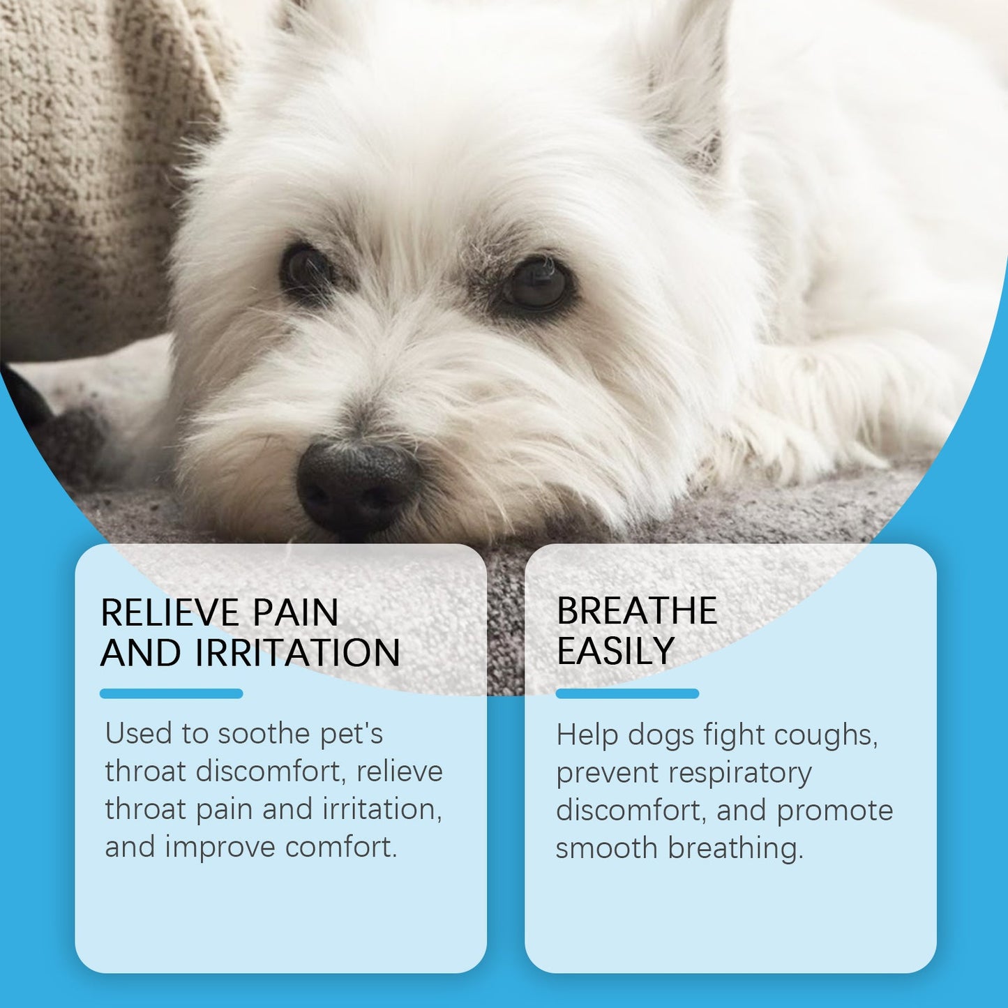 Premium Dog Nutrition Syrup for Enhanced Well-Being