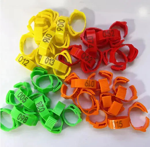 Anillos para patas de pollo - Edición Clucktastic