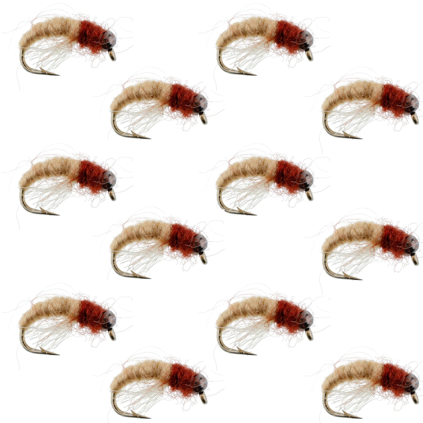 Nymphe Caddis Larva Tan Marron à Tête Perlée - Taille 12 (12 Mouches)