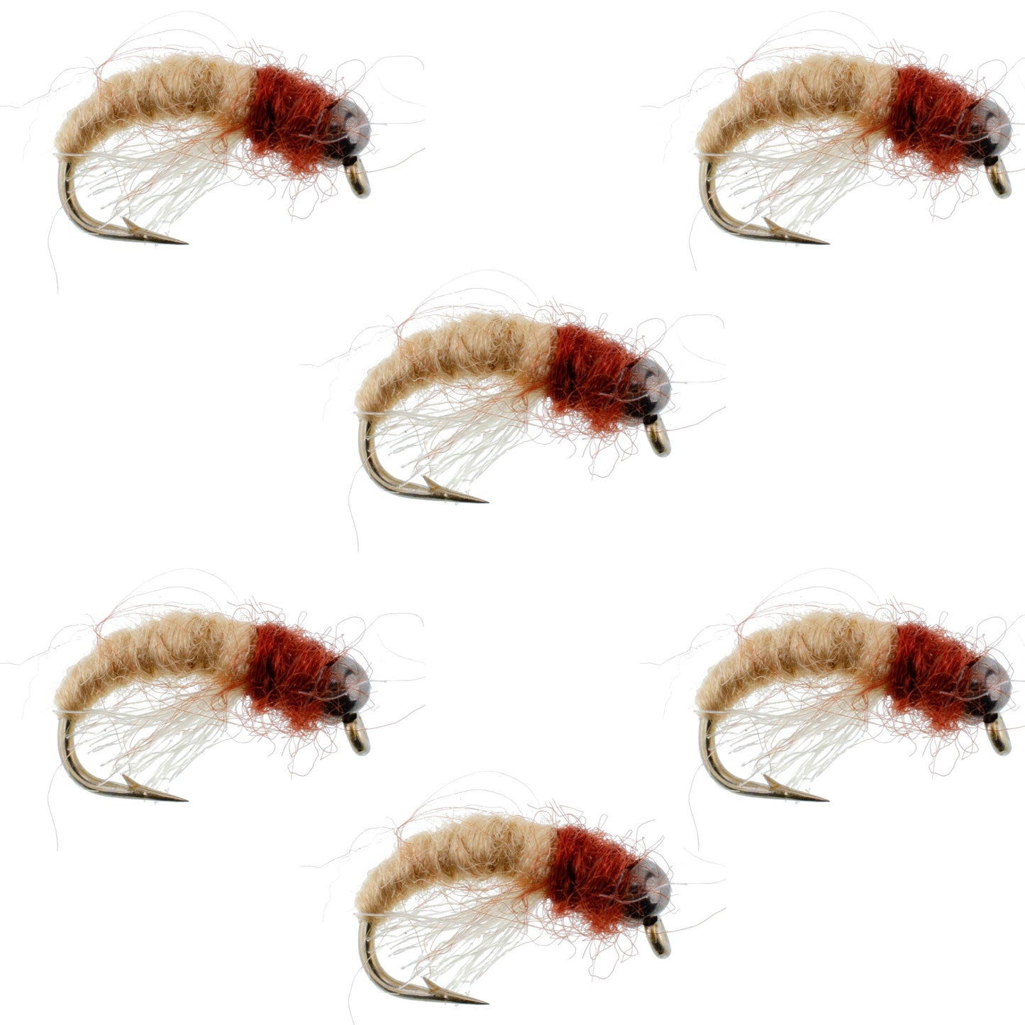 Nymphe Caddis Larva Tan Marron à Tête Perlée - Taille 16 (6 Mouches)