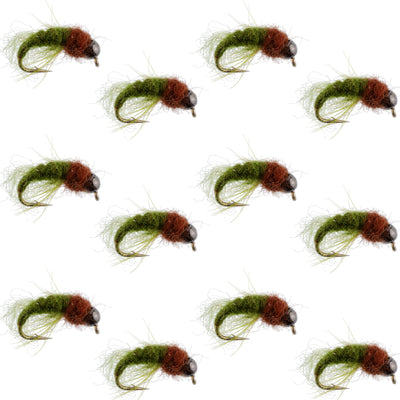 Nymphe de larve de caddis olive brun à tête en perles - Taille 14 (12 mouches)
