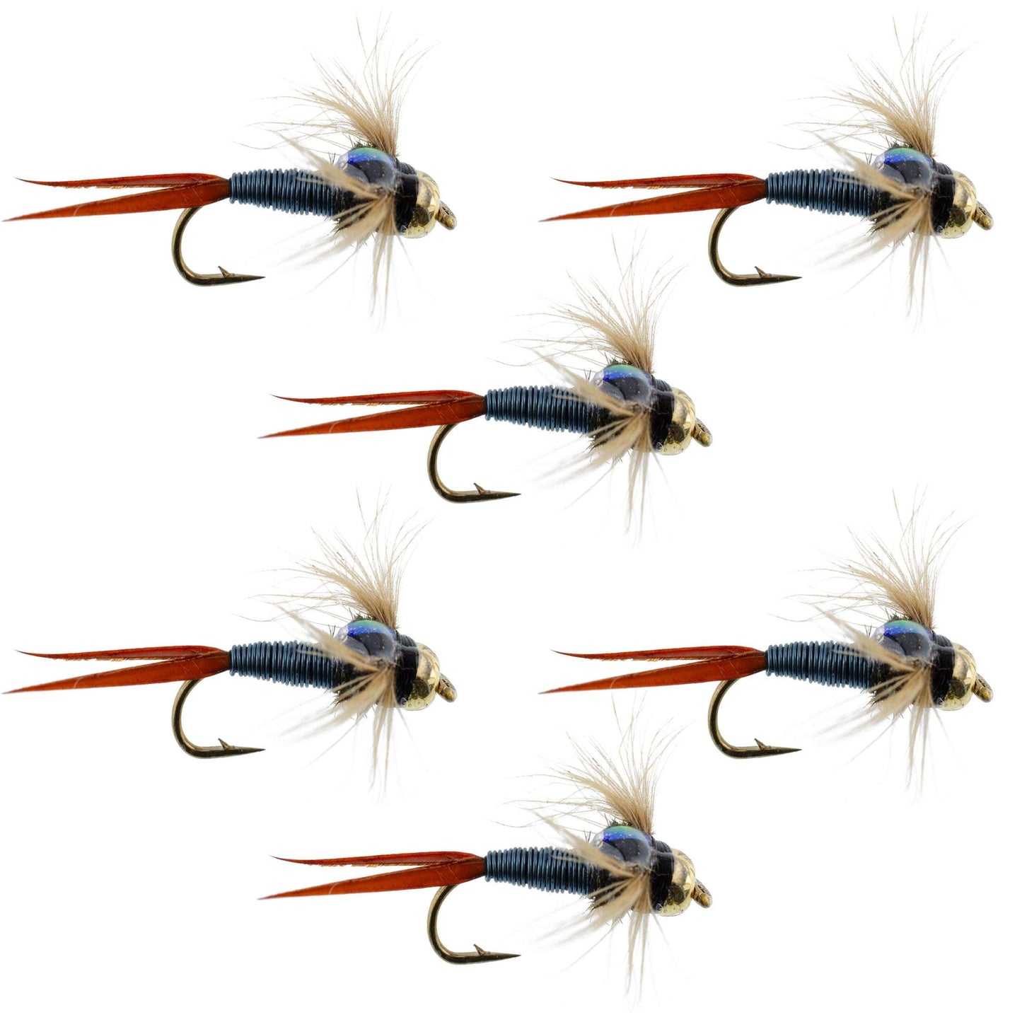 Copper John Nymphs with Bead Head - 6 Premium Fly Fishing Flies - Size 10 - Korvel