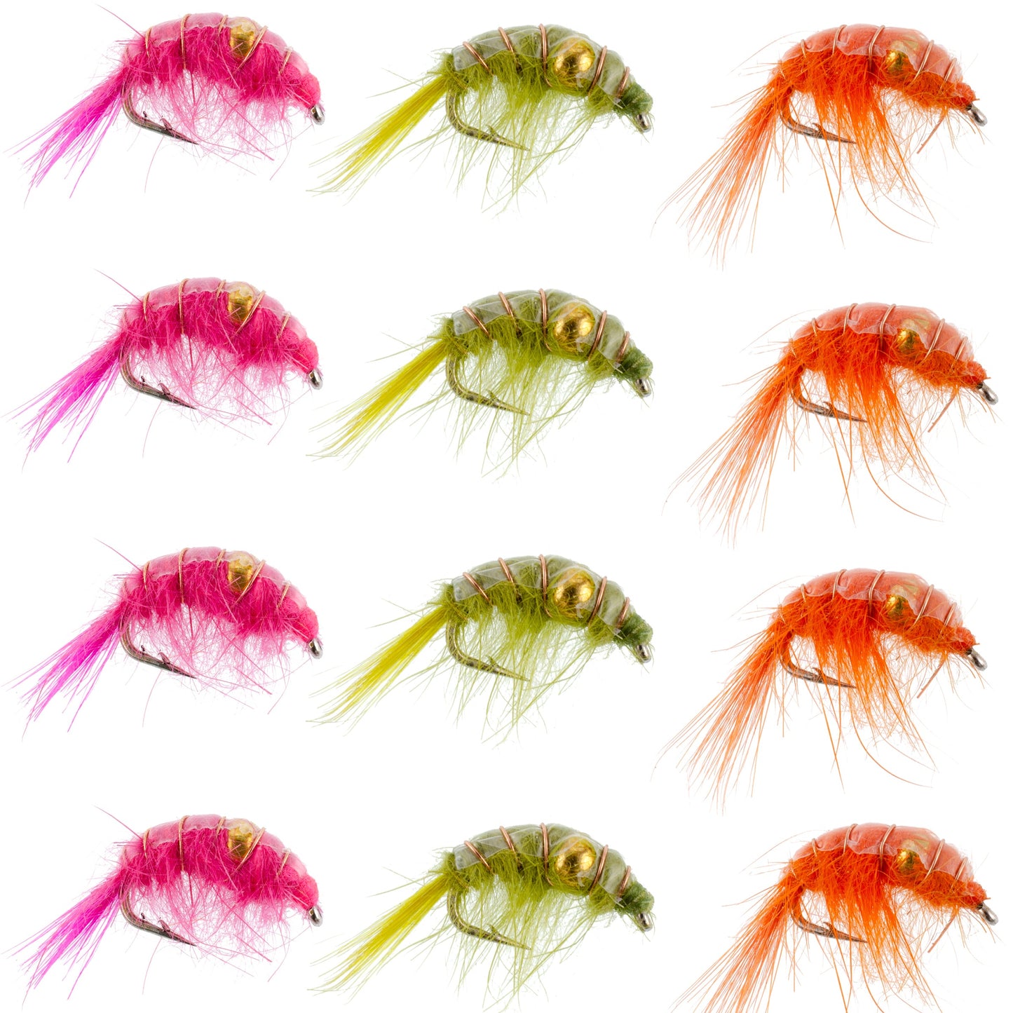 Assortiment de crevettes scud perlées - 1 douzaine - Taille 16