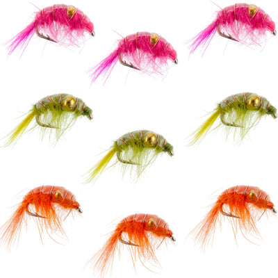 Premium Beaded Shrimp Scud Fly Assortment - 9 Hand-Tied Flies in 3 Distinct Patterns, Size 12 - Korvel