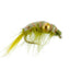 Assortiment de crevettes scud perlées - 1 douzaine - Taille 16