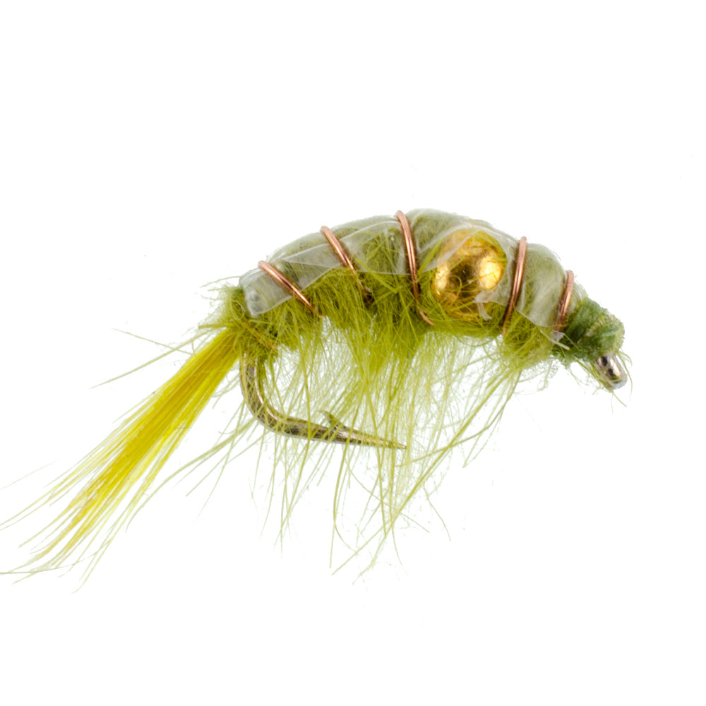 Assortiment de crevettes scud perlées - 1 douzaine - Taille 16