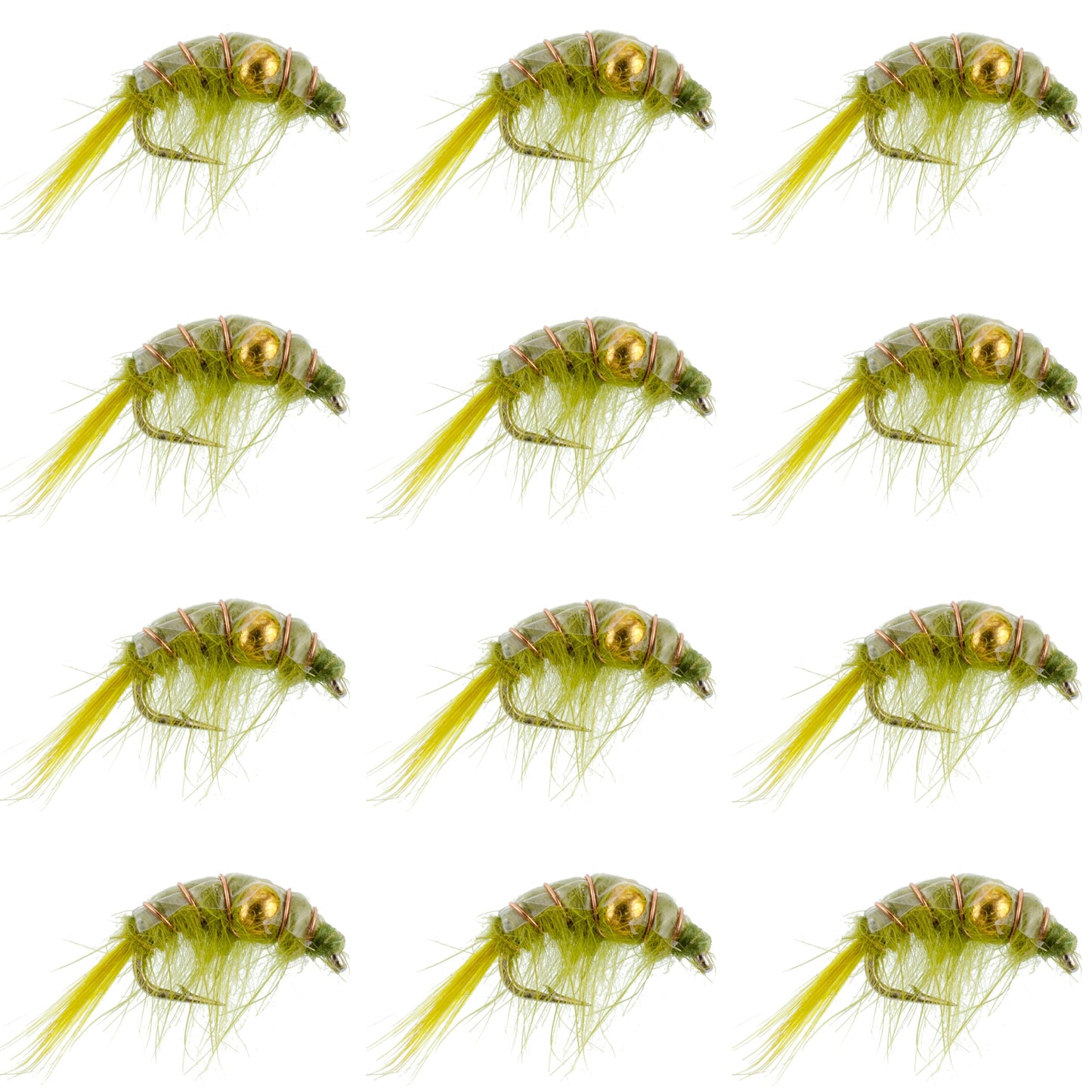 Olive Beaded Shrimp Scud Nymphs - 12 Pack Size 12 for Tailwater Fishing - Korvel
