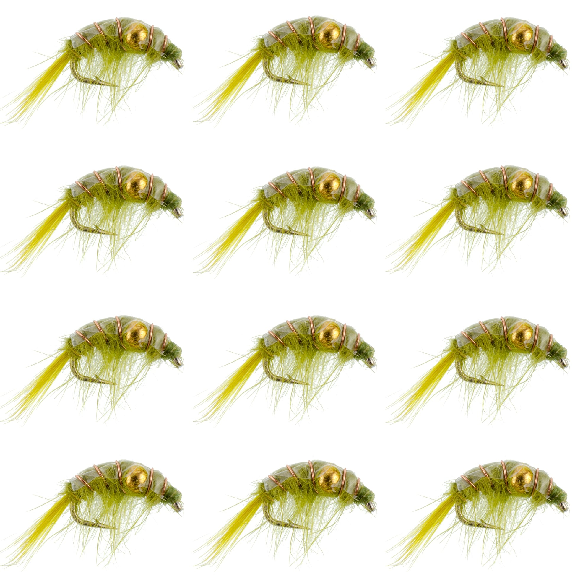 Olive Beaded Shrimp Scud Nymphs - 12 Pack Size 12 for Tailwater Fishing - Korvel