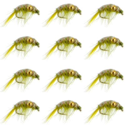 Olive Beaded Shrimp Scud Nymphs - 12 Pack Size 12 for Tailwater Fishing - Korvel