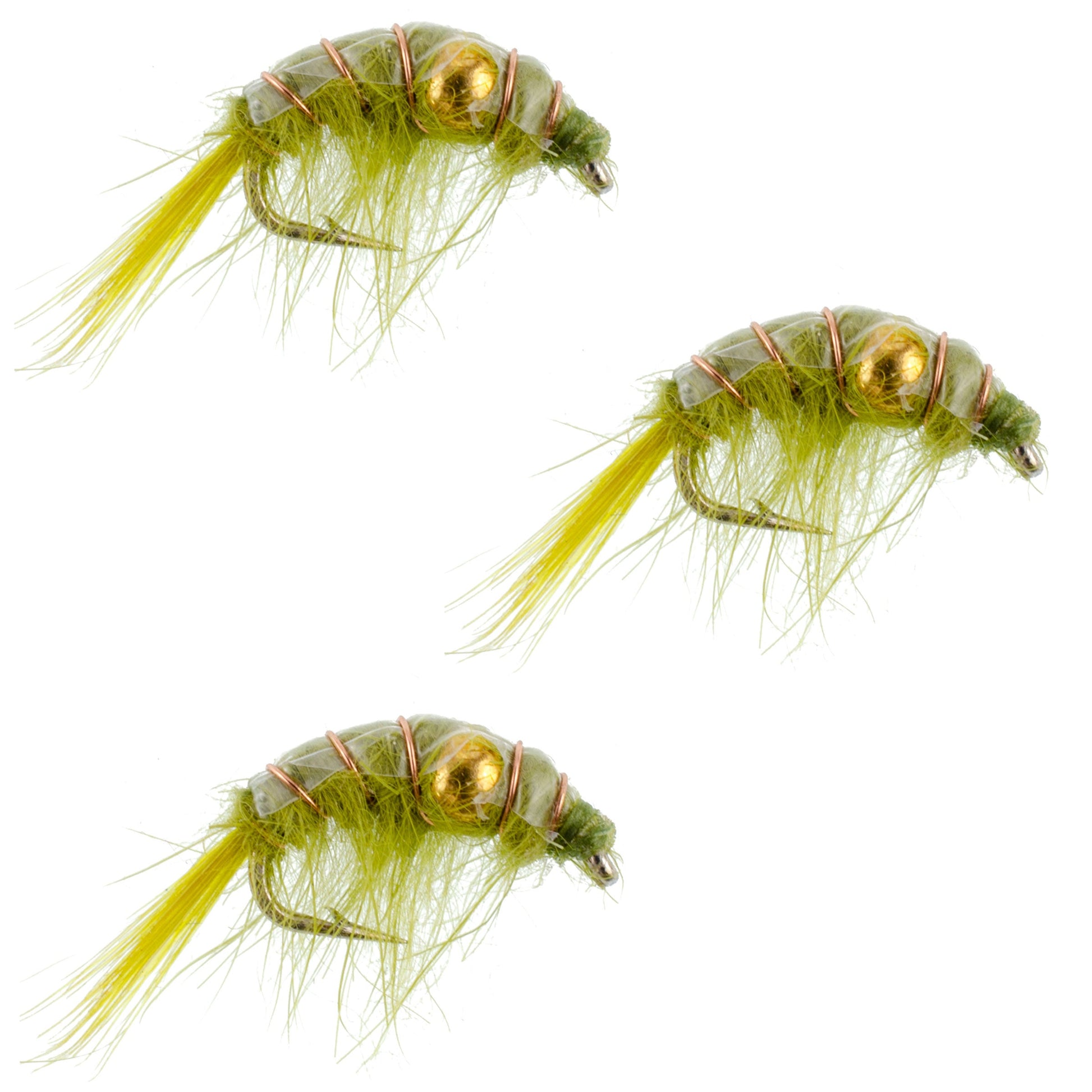 Olive Beaded Shrimp Scud Nymphs - 3 Pack Size 12 for Tailwater Fishing - Korvel