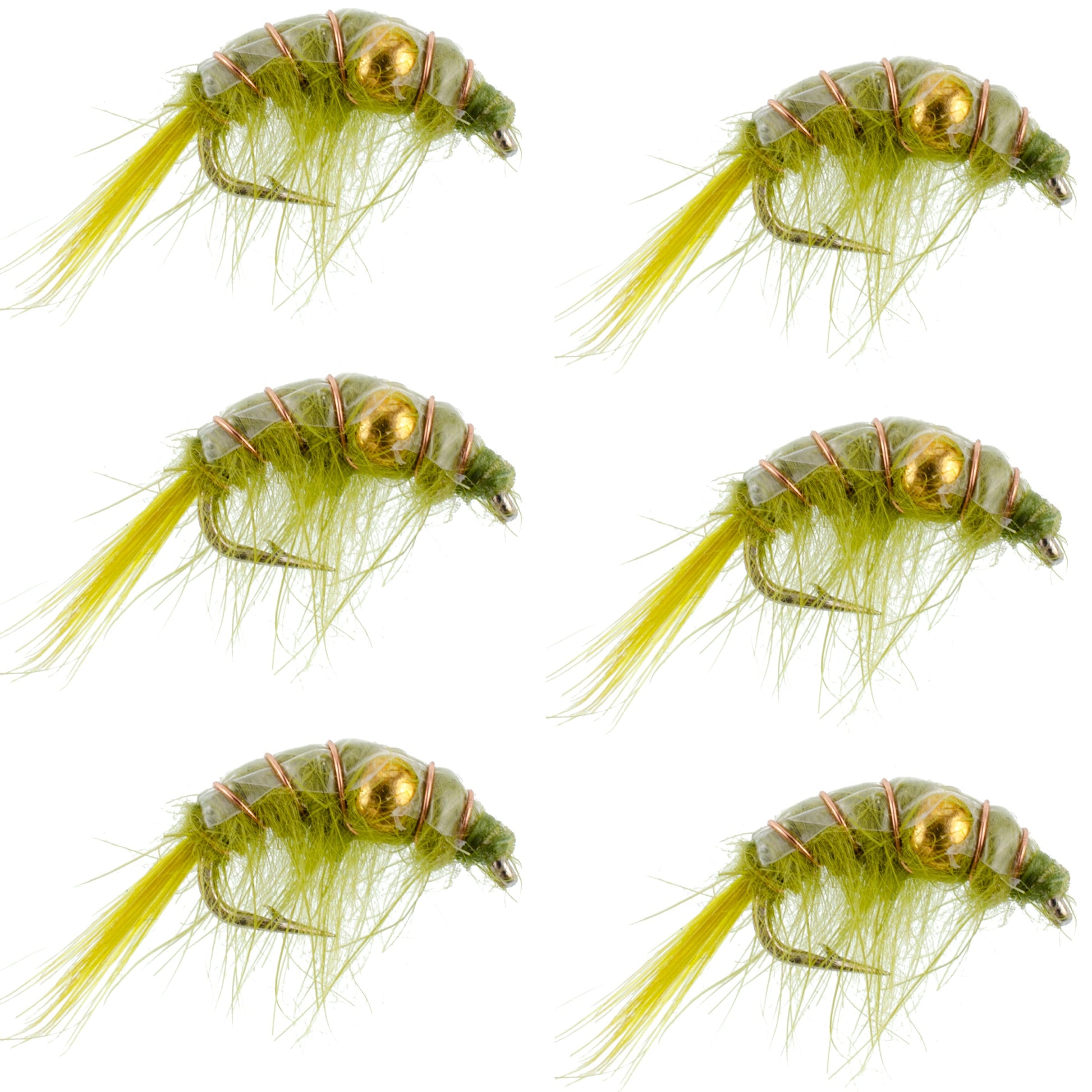 Olive Beaded Shrimp Scud Nymph Flies - 6 Pack - Size 12 for Tailwater Fishing - Korvel