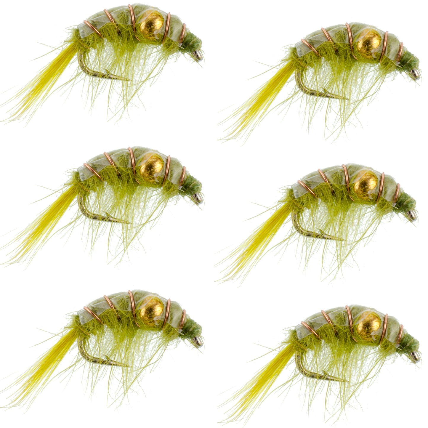Modèle de crevette scud perlé olive - 6 mouches taille 16