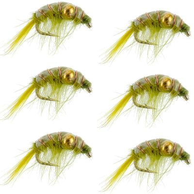 Modèle de crevette scud perlé olive - 6 mouches taille 16